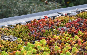 the cost of Berwick St John green roof installation