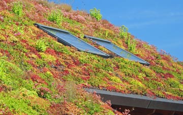 Berwick St John living roof systems